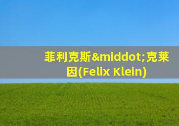 菲利克斯·克莱因(Felix Klein)